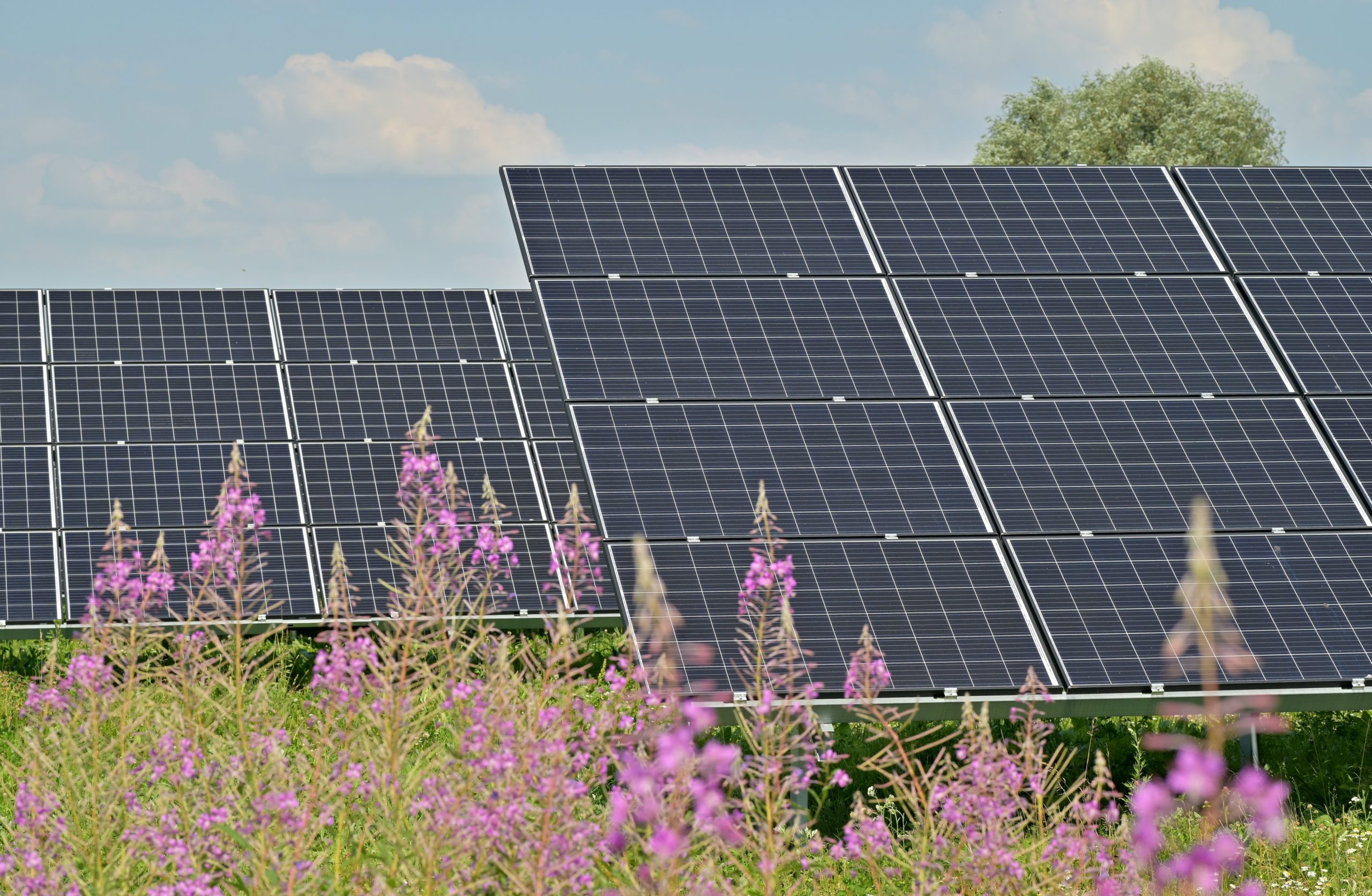 Energiek Nagele wil vanaf 2024 hele dorp van zonnewarmte gaan voorzien
